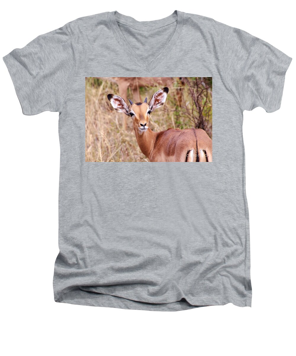 Impala Men's V-Neck T-Shirt featuring the photograph Impala by Juergen Klust