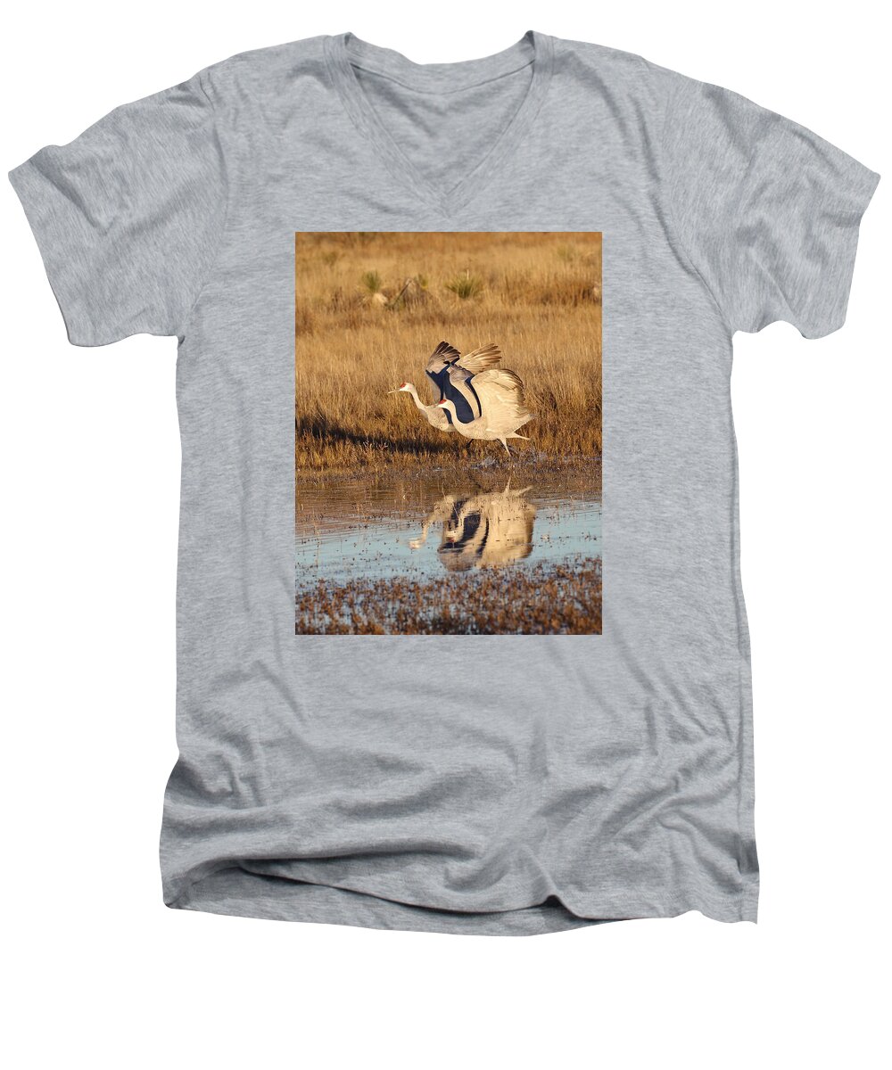 Sandhill Men's V-Neck T-Shirt featuring the photograph In Sync by Jean Clark