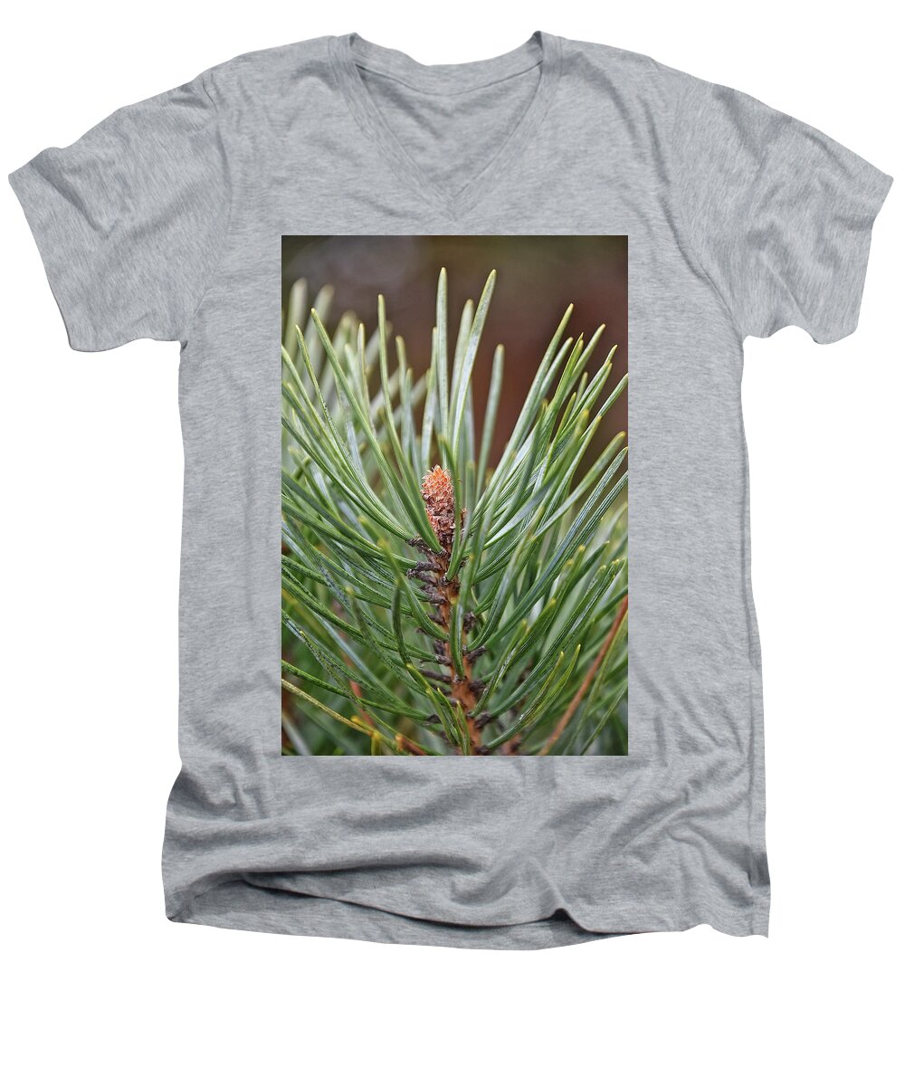 Pine Men's V-Neck T-Shirt featuring the photograph In the Beginning by Kuni Photography