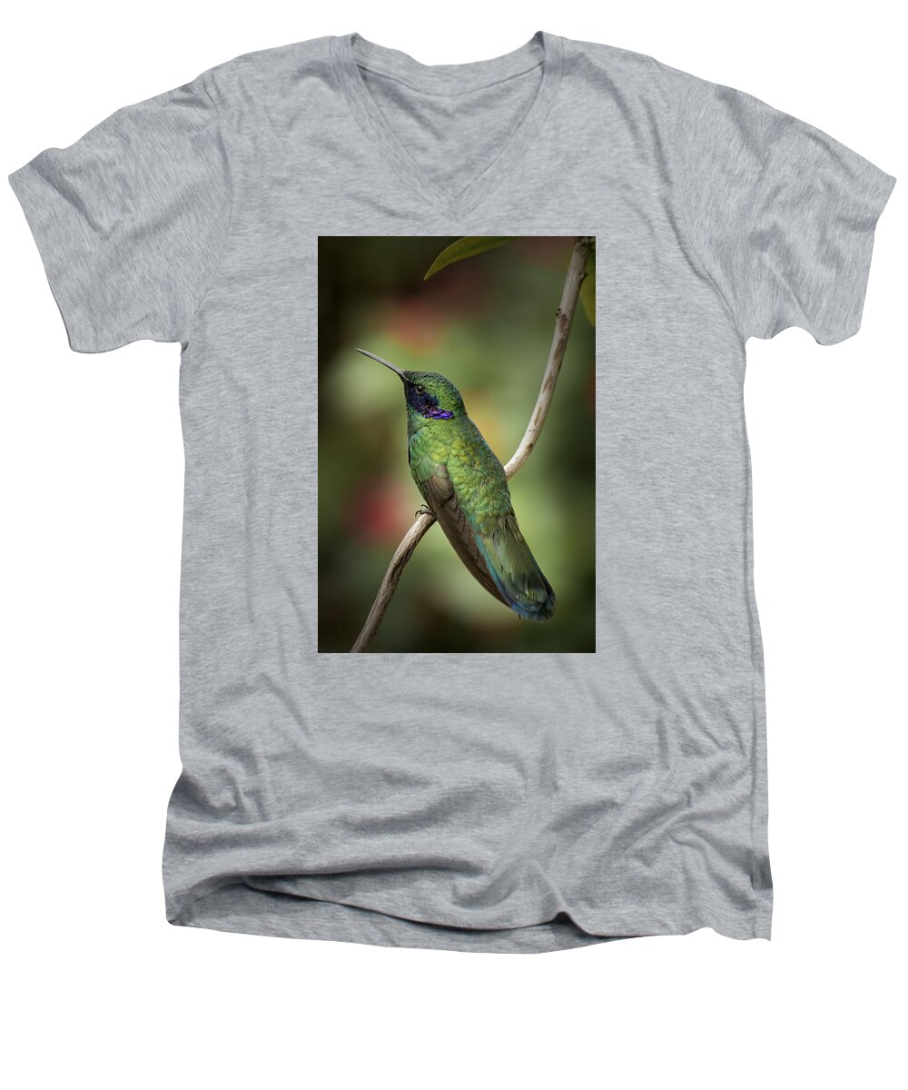 Portrait Men's V-Neck T-Shirt featuring the photograph Iridescent Hummingbird with Purple by Penny Lisowski