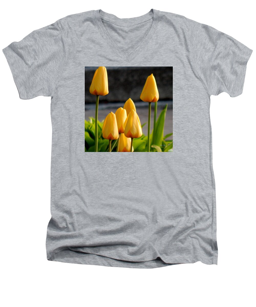 Spring Men's V-Neck T-Shirt featuring the photograph It Is Spring by Wild Thing