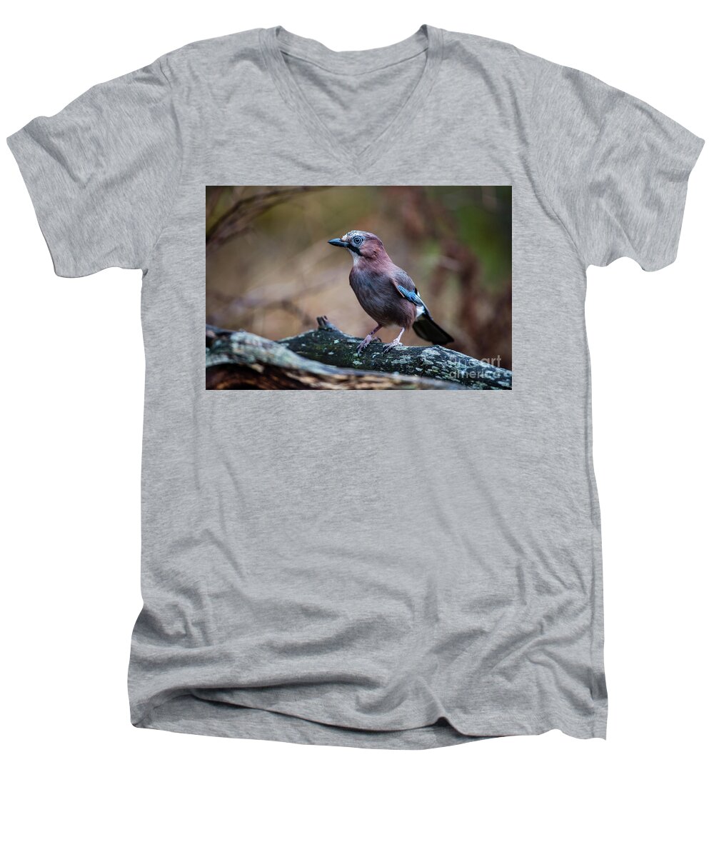 Jay Watch Men's V-Neck T-Shirt featuring the photograph Jay watch by Torbjorn Swenelius