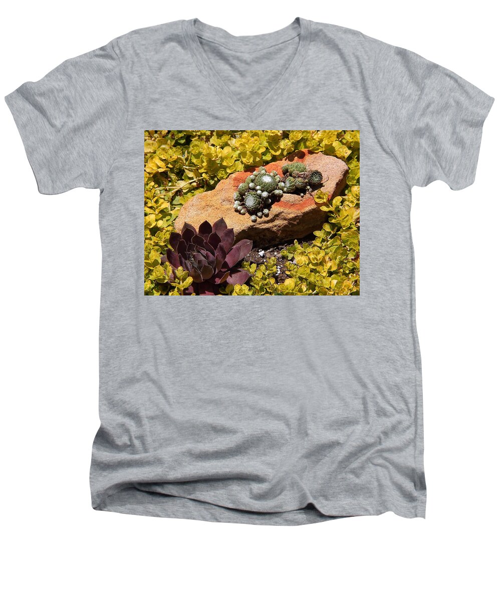 Plants Men's V-Neck T-Shirt featuring the photograph Joyful Living in Hard Times by Allen Nice-Webb
