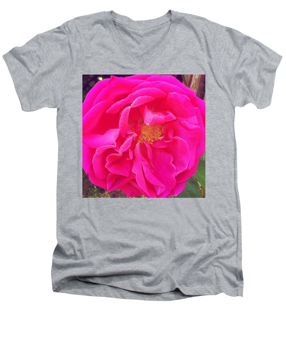 Floral Men's V-Neck T-Shirt featuring the photograph Just A Rose...#floral #flowers #pink by Jennifer Beaudet