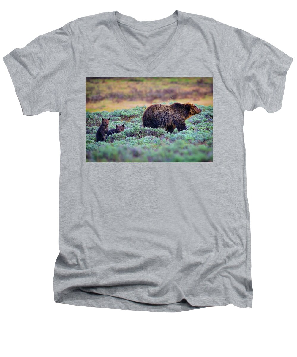 Grizzly Men's V-Neck T-Shirt featuring the photograph Just Follow Mom by Greg Norrell