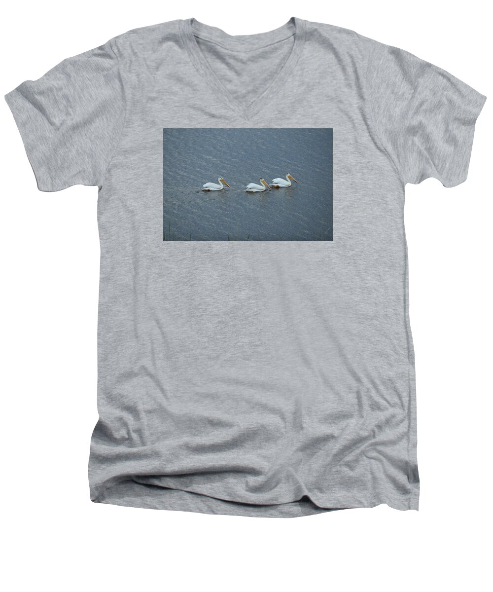 Animal Men's V-Neck T-Shirt featuring the photograph Triple Pelicans Lake John SWA CO by Margarethe Binkley