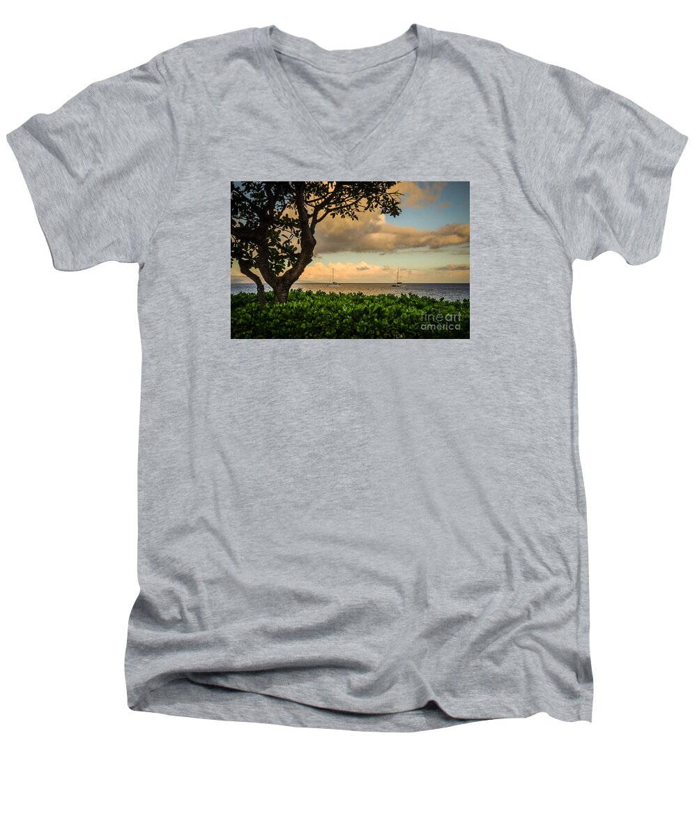 Photograph Men's V-Neck T-Shirt featuring the photograph Ka'anapali Plumeria Tree by Kelly Wade