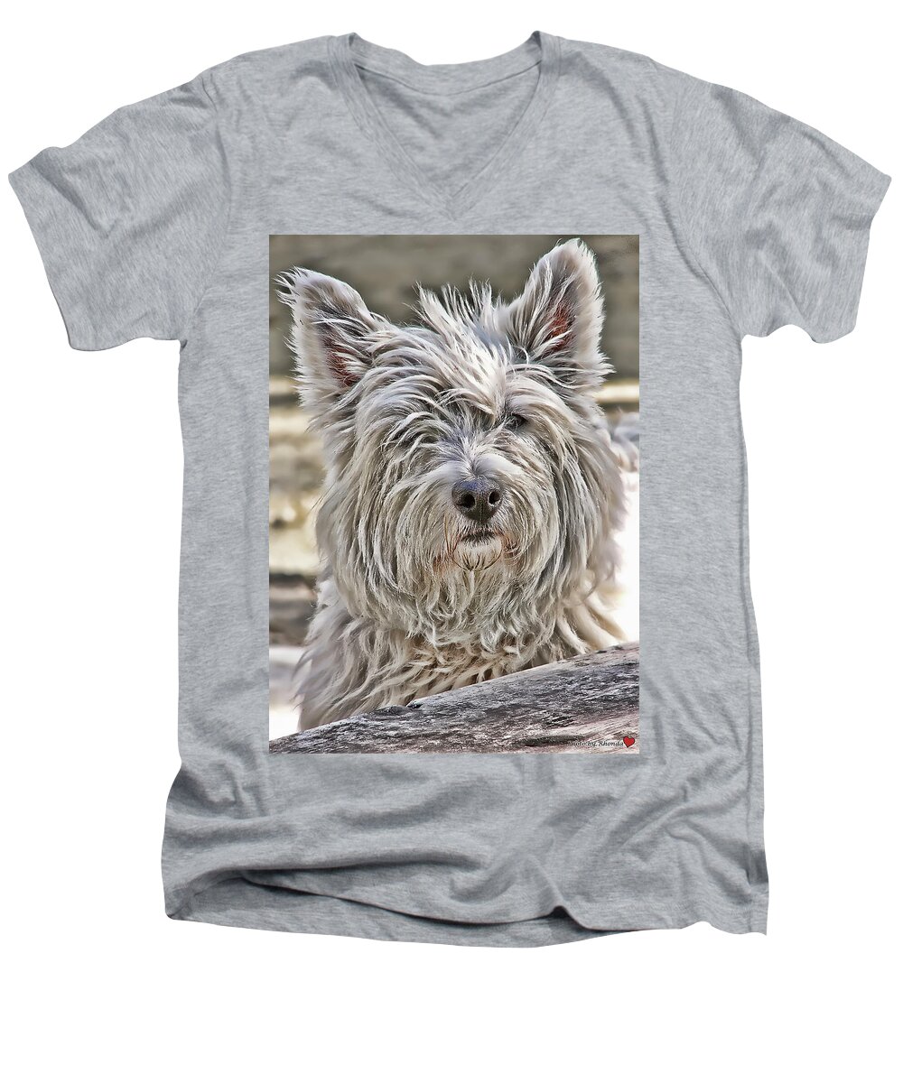Greeting Card Men's V-Neck T-Shirt featuring the photograph Kelsey by Rhonda McDougall