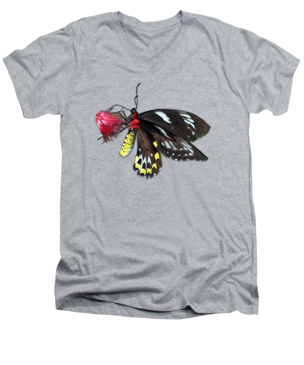 Macro Men's V-Neck T-Shirt featuring the photograph Key West Butterfly 12 by Bob Slitzan