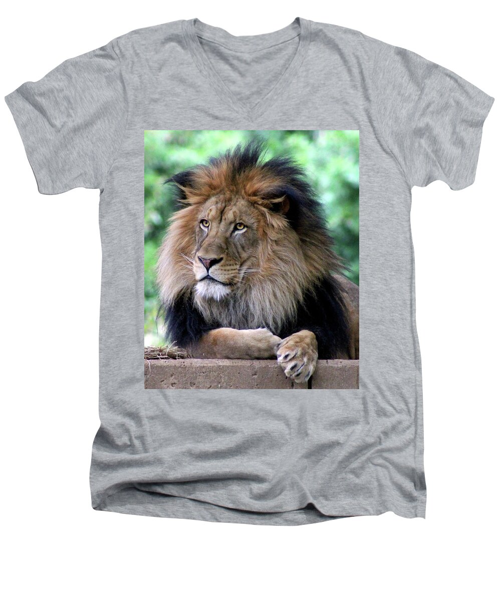 Lion Men's V-Neck T-Shirt featuring the photograph The King's Portrait by Ronda Ryan