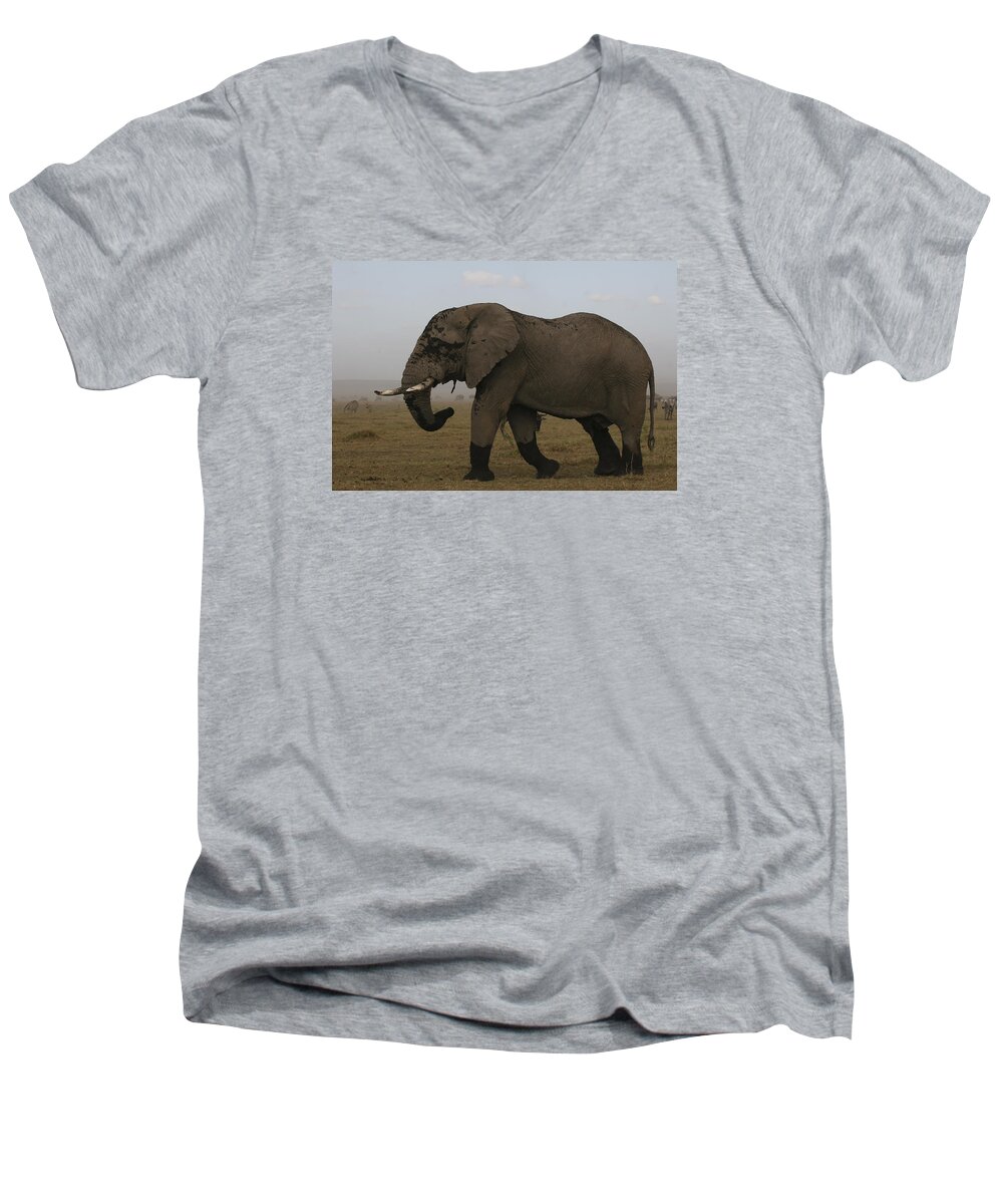 Gary Hall Men's V-Neck T-Shirt featuring the photograph King of the Savannah by Gary Hall
