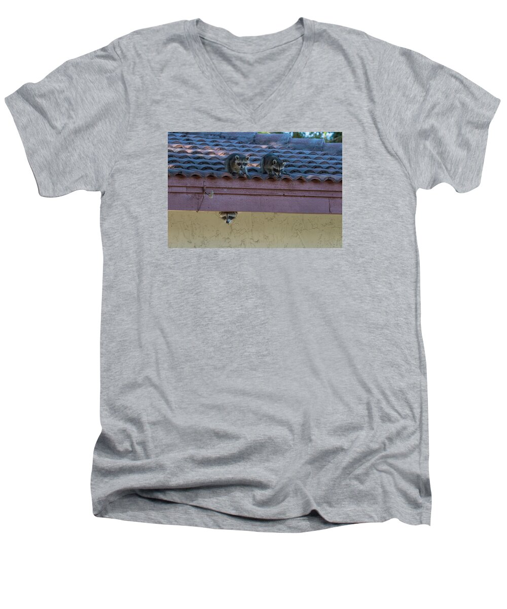 Raccoons Men's V-Neck T-Shirt featuring the photograph Kits on the Roof by Dorothy Cunningham