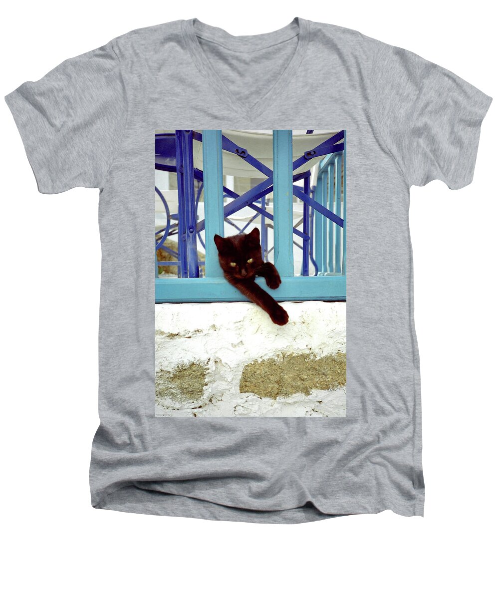 Cuddly Men's V-Neck T-Shirt featuring the photograph Kitten with Blue Rail by Frank DiMarco