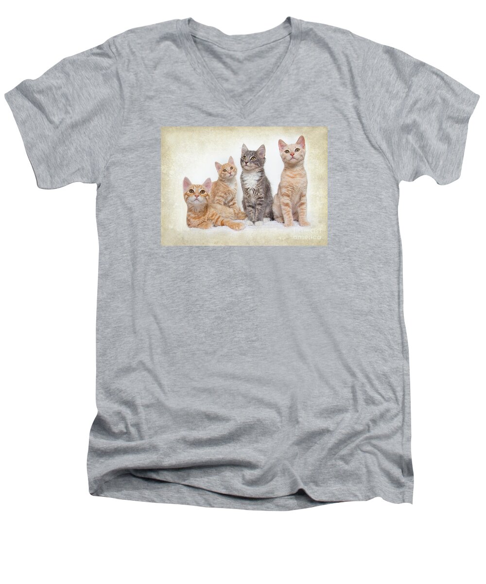 Kittens Men's V-Neck T-Shirt featuring the photograph Kittens by Mimi Ditchie