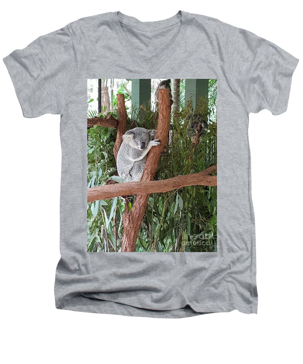Koala Men's V-Neck T-Shirt featuring the photograph Koala by Cassy Allsworth