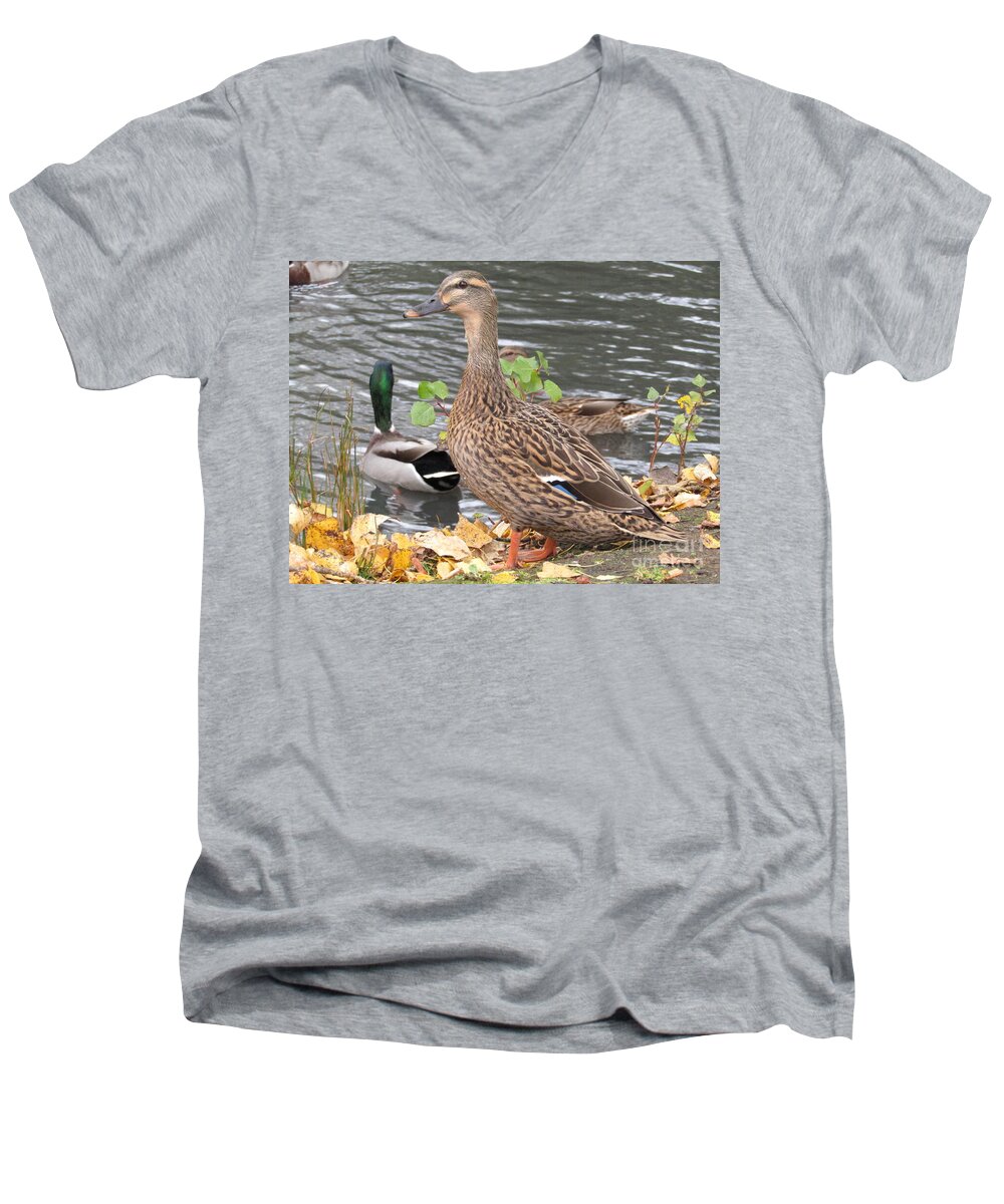 Duck Men's V-Neck T-Shirt featuring the photograph Lady Duck by Kim Tran