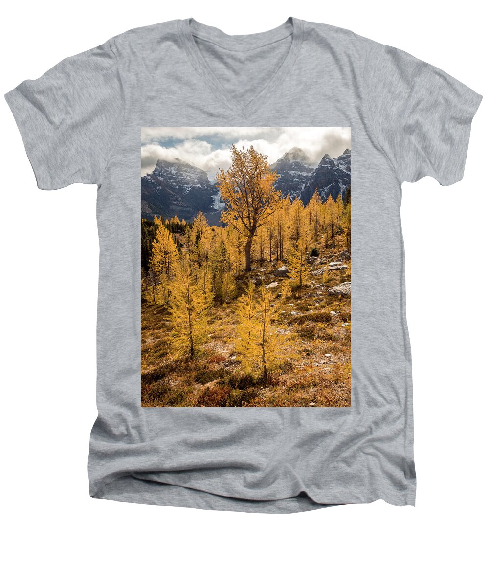 Larches Men's V-Neck T-Shirt featuring the photograph Larch Family by Emily Dickey