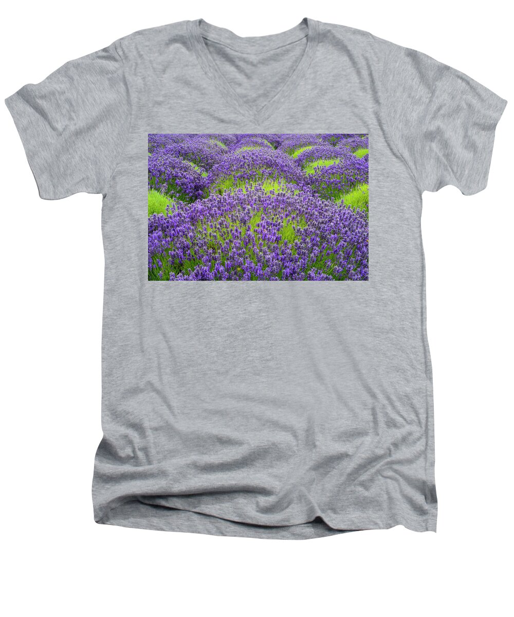 Flowers Men's V-Neck T-Shirt featuring the digital art Lavender in blooming by Michael Lee