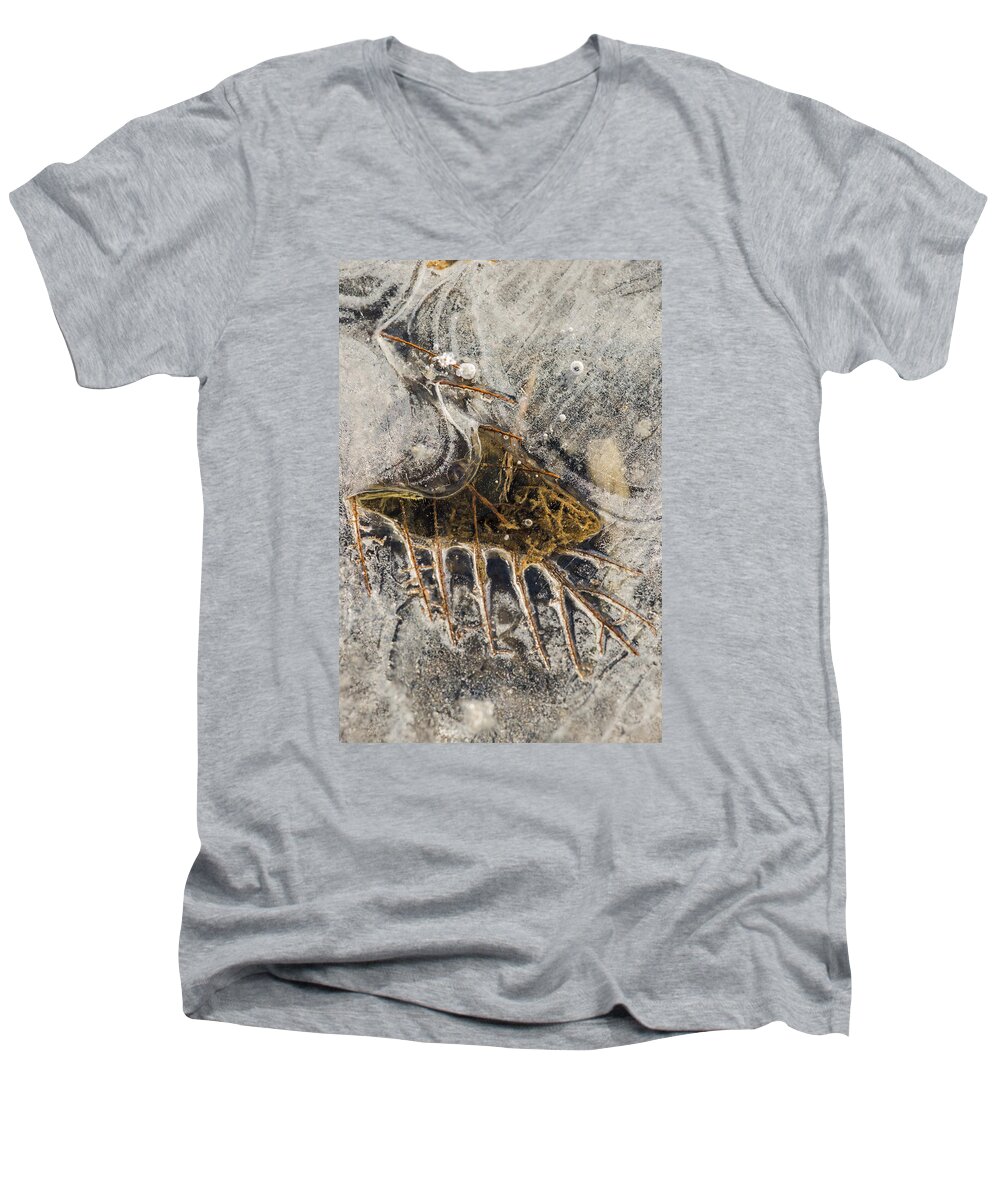 Cold Men's V-Neck T-Shirt featuring the photograph Leaf Veins in Ice by Robert Potts