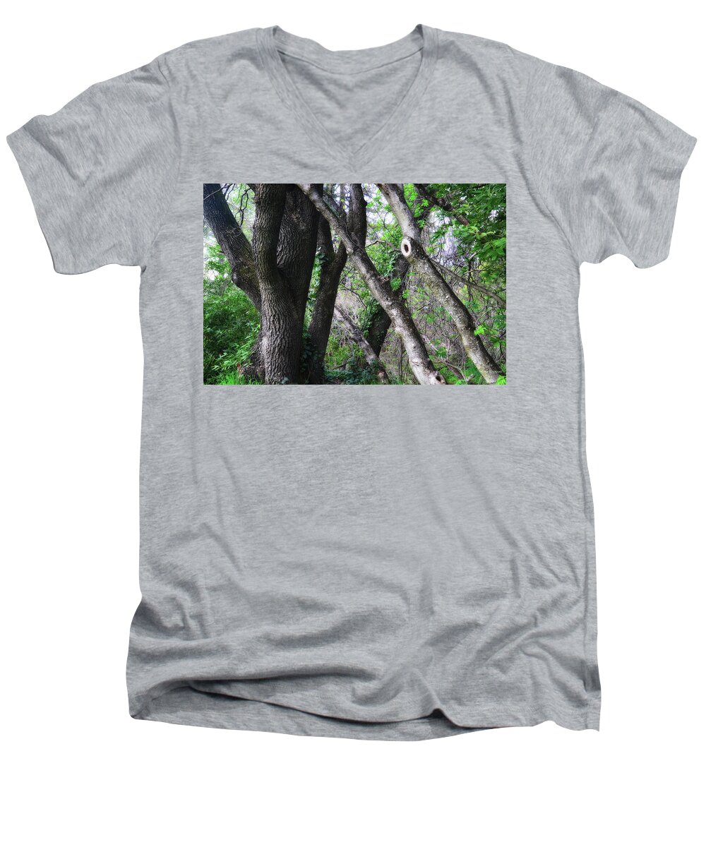 Forest Men's V-Neck T-Shirt featuring the photograph Lean On Me by Donna Blackhall