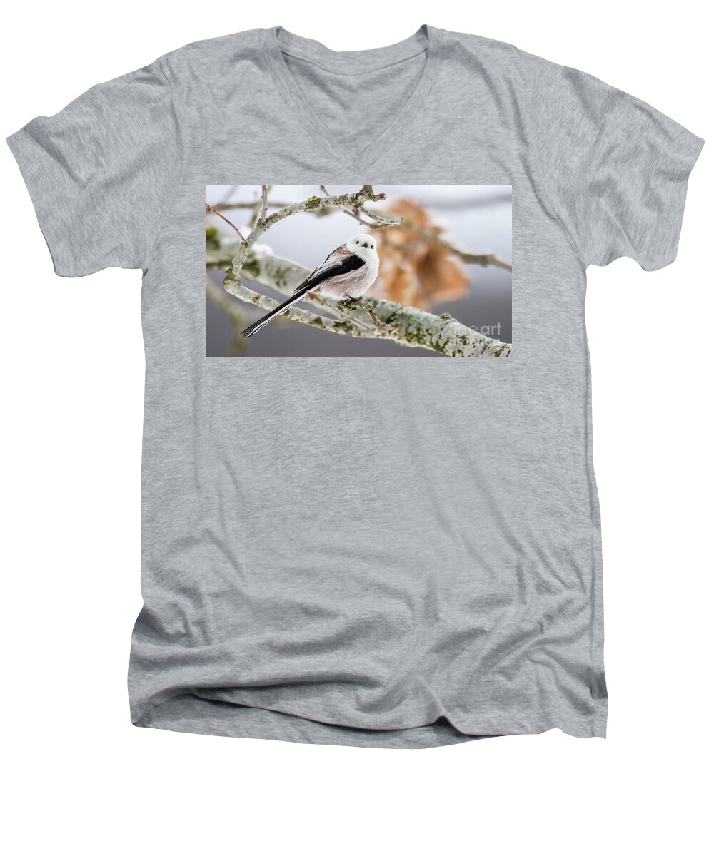 Long-tailed Tit Men's V-Neck T-Shirt featuring the photograph Long-tailed tit by Torbjorn Swenelius