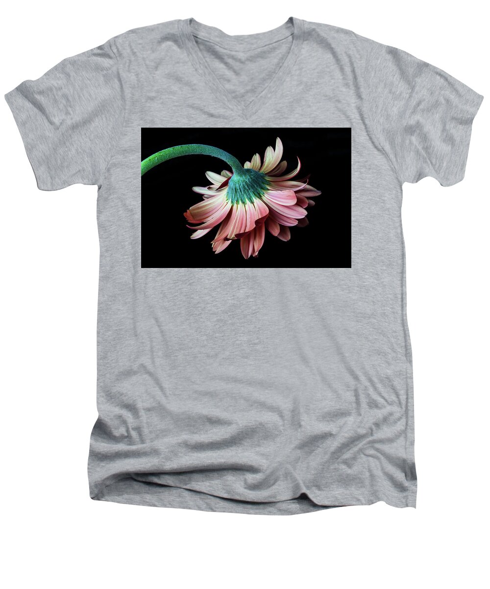 Daisy Men's V-Neck T-Shirt featuring the photograph Looking Down by Tammy Ray