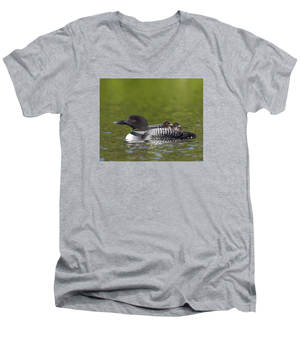 John Vose Men's V-Neck T-Shirt featuring the photograph Loon taxi by John Vose
