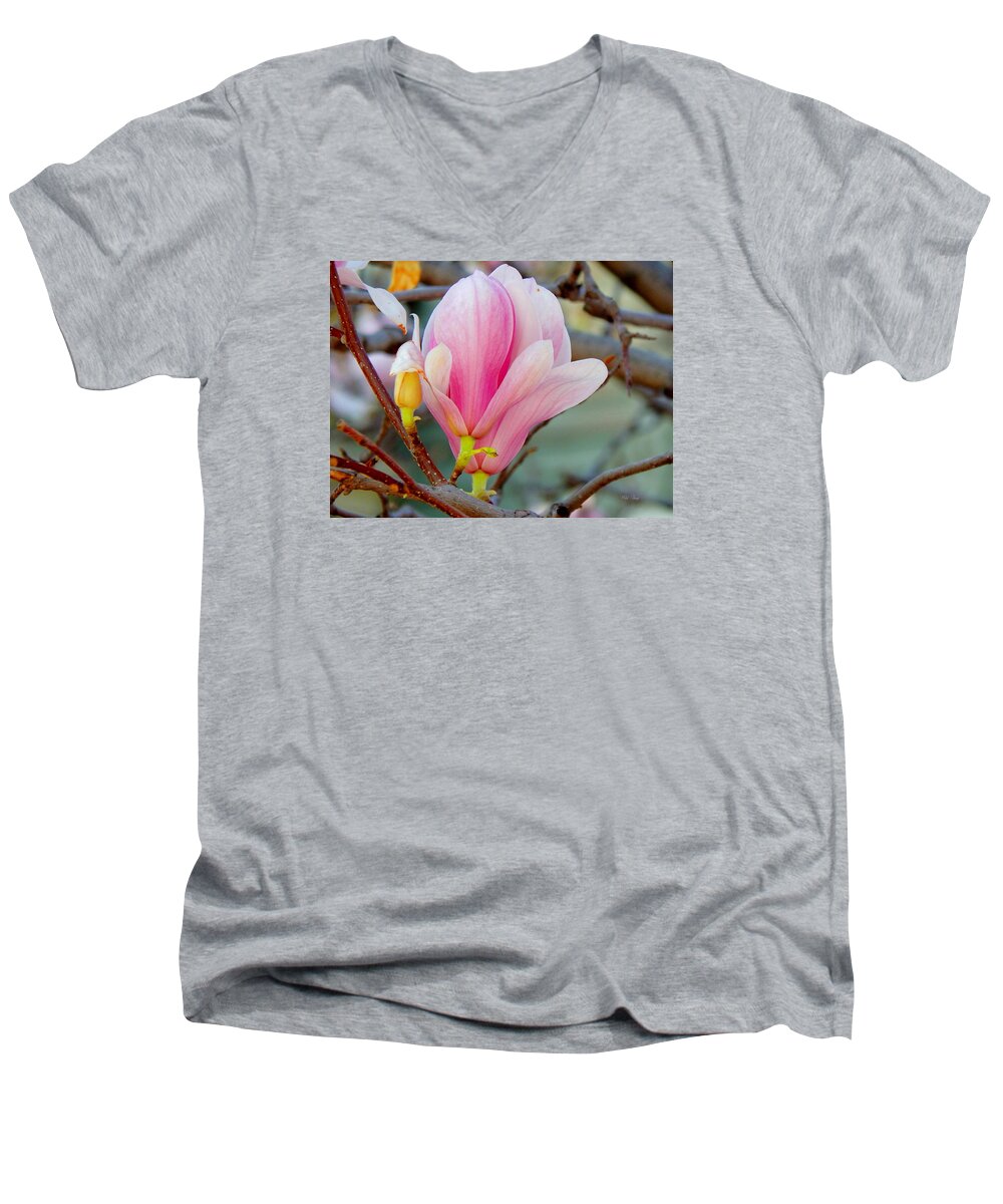 Spring Men's V-Neck T-Shirt featuring the photograph Magnolia Blossoms by Wild Thing