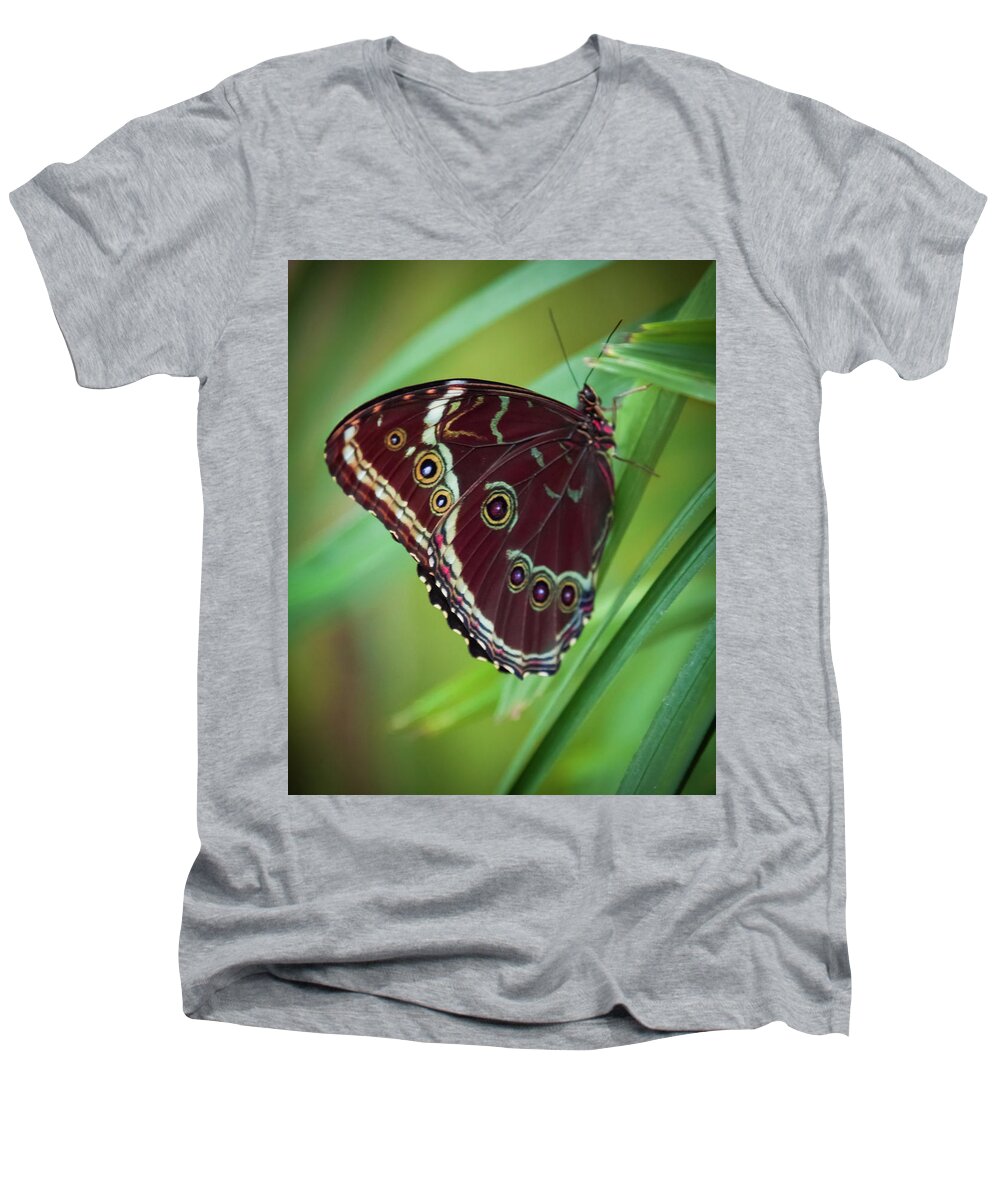 Gorgeous Butterflies Men's V-Neck T-Shirt featuring the photograph MAJESTY of NATURE by Karen Wiles