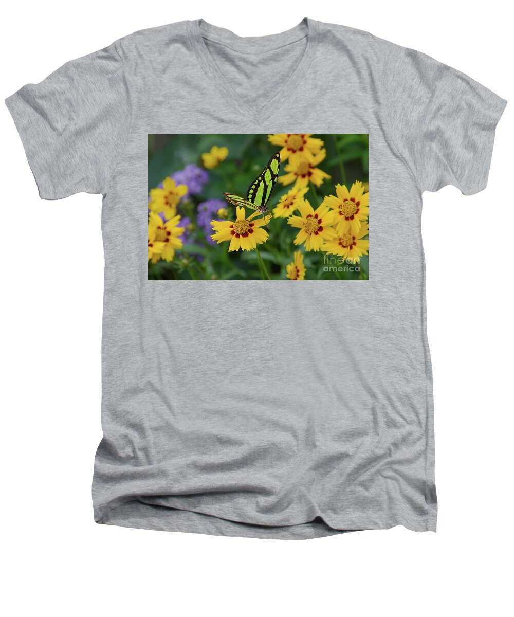 Animal Men's V-Neck T-Shirt featuring the photograph Malachite Butterfly by Rick Bures
