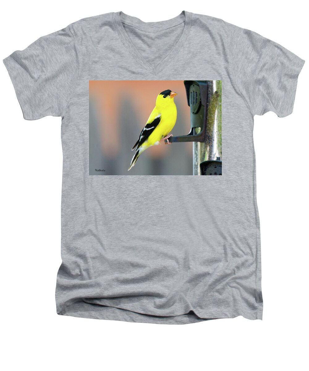 American Goldfinch Men's V-Neck T-Shirt featuring the photograph Male American Goldfinch by Tim Kathka