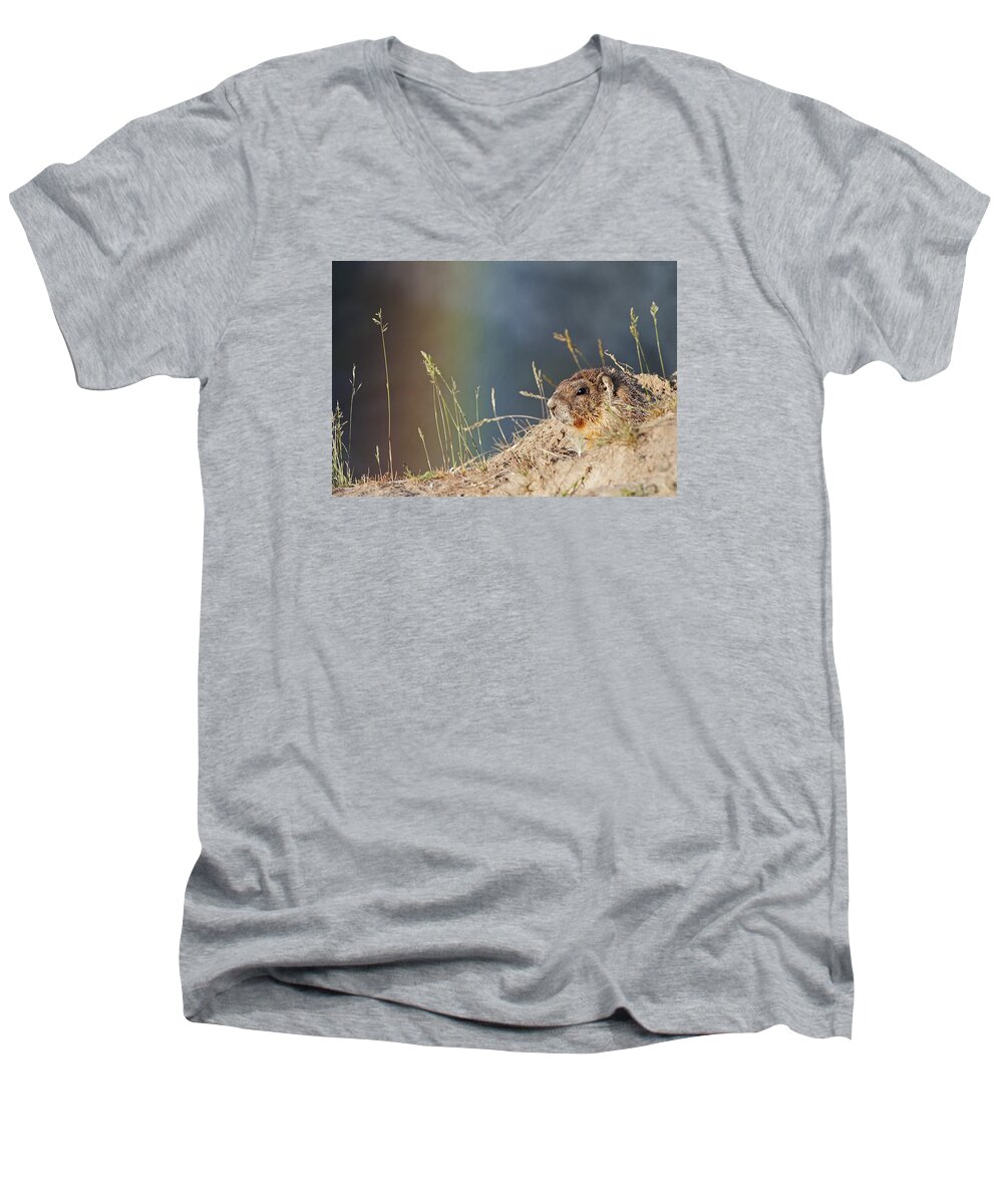 Outdoors Men's V-Neck T-Shirt featuring the photograph Marmot and Rainbow by Doug Davidson