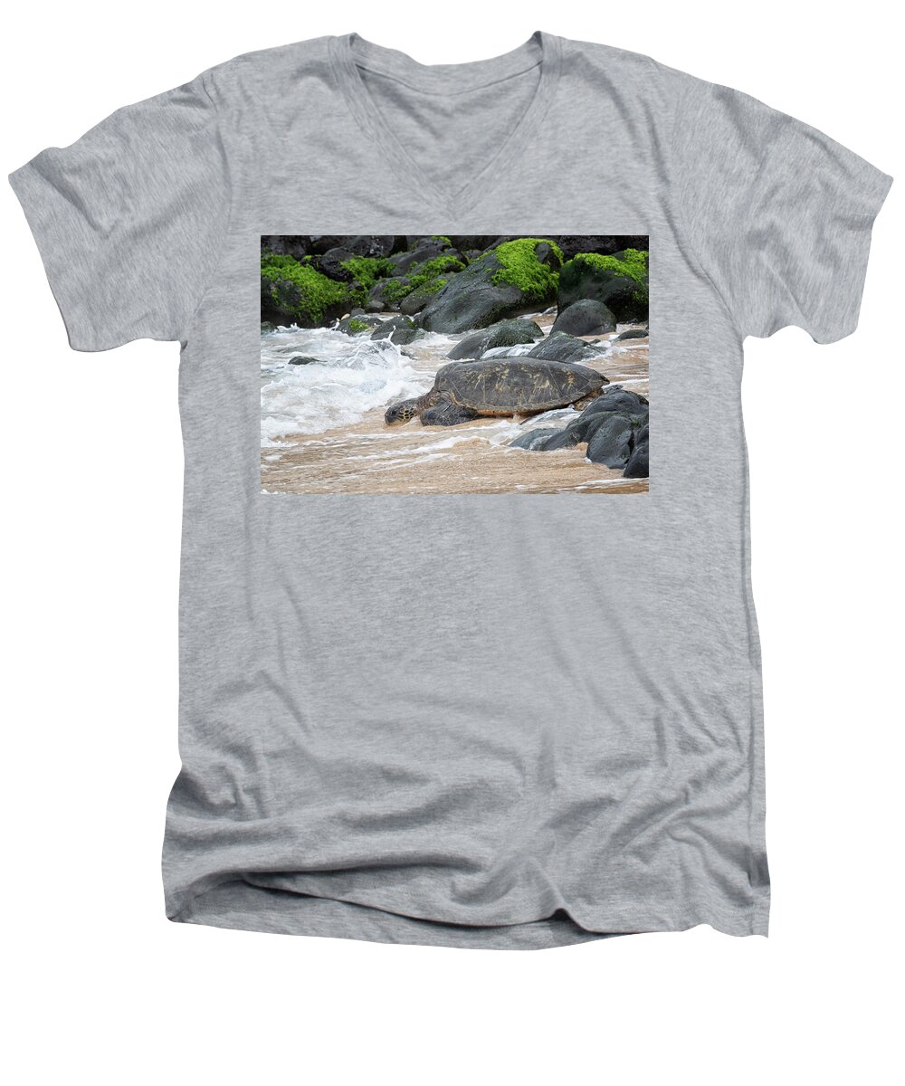 Honu Men's V-Neck T-Shirt featuring the photograph Maui Honu by Randy Hall