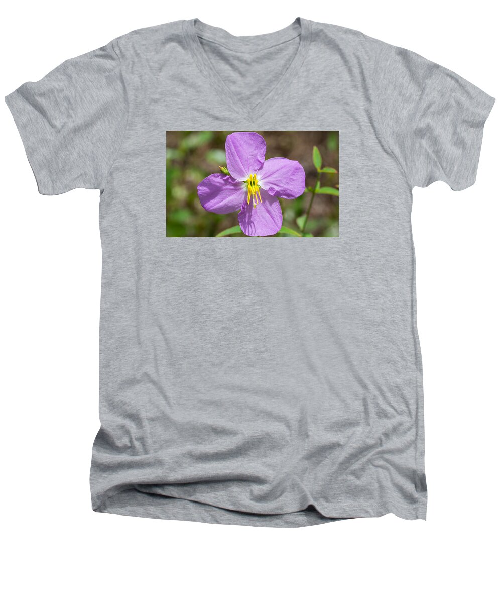Nature Men's V-Neck T-Shirt featuring the photograph Meadow Beauty by Kenneth Albin