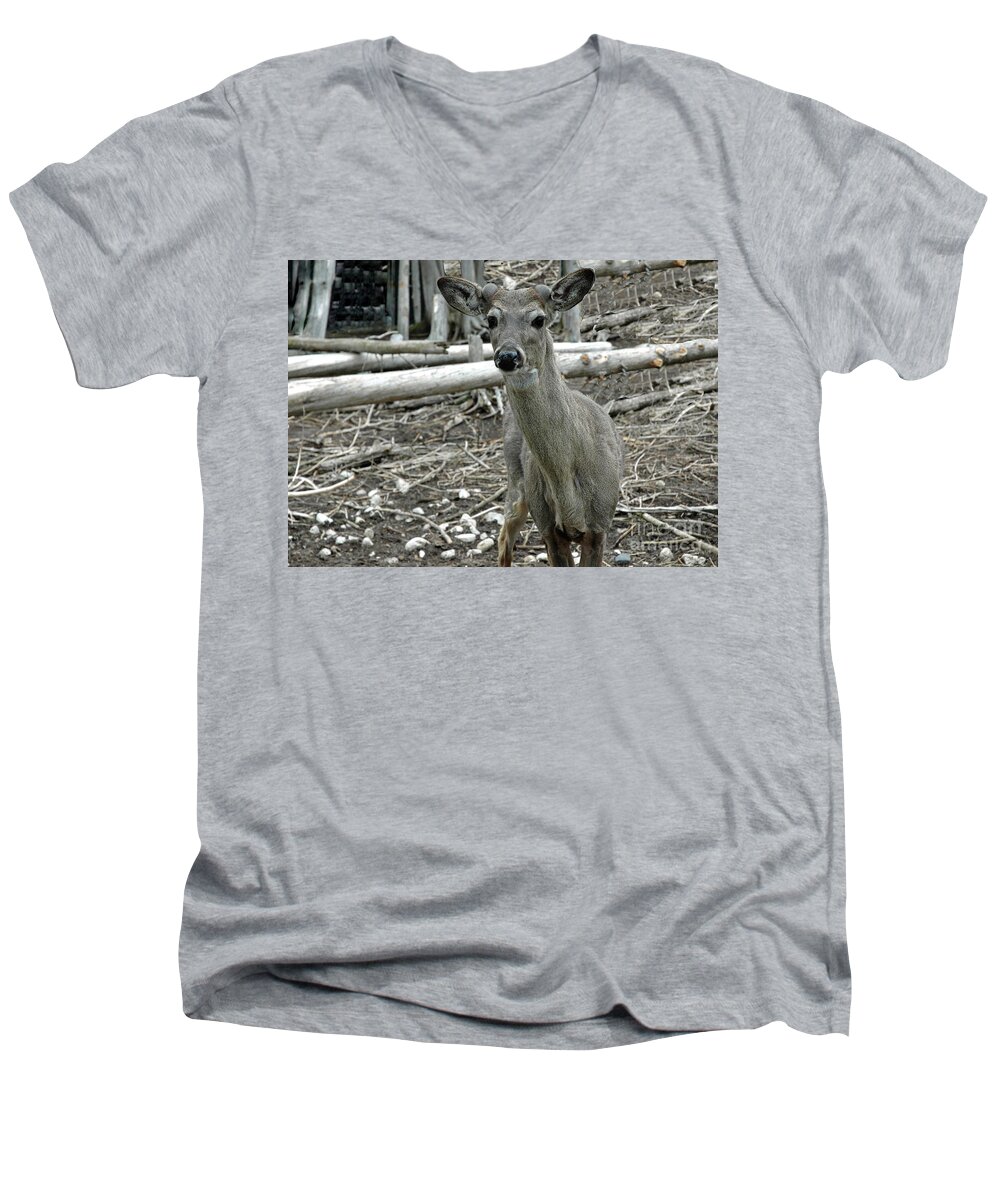 Usa Men's V-Neck T-Shirt featuring the photograph Michigan White Tail Deer by LeeAnn McLaneGoetz McLaneGoetzStudioLLCcom