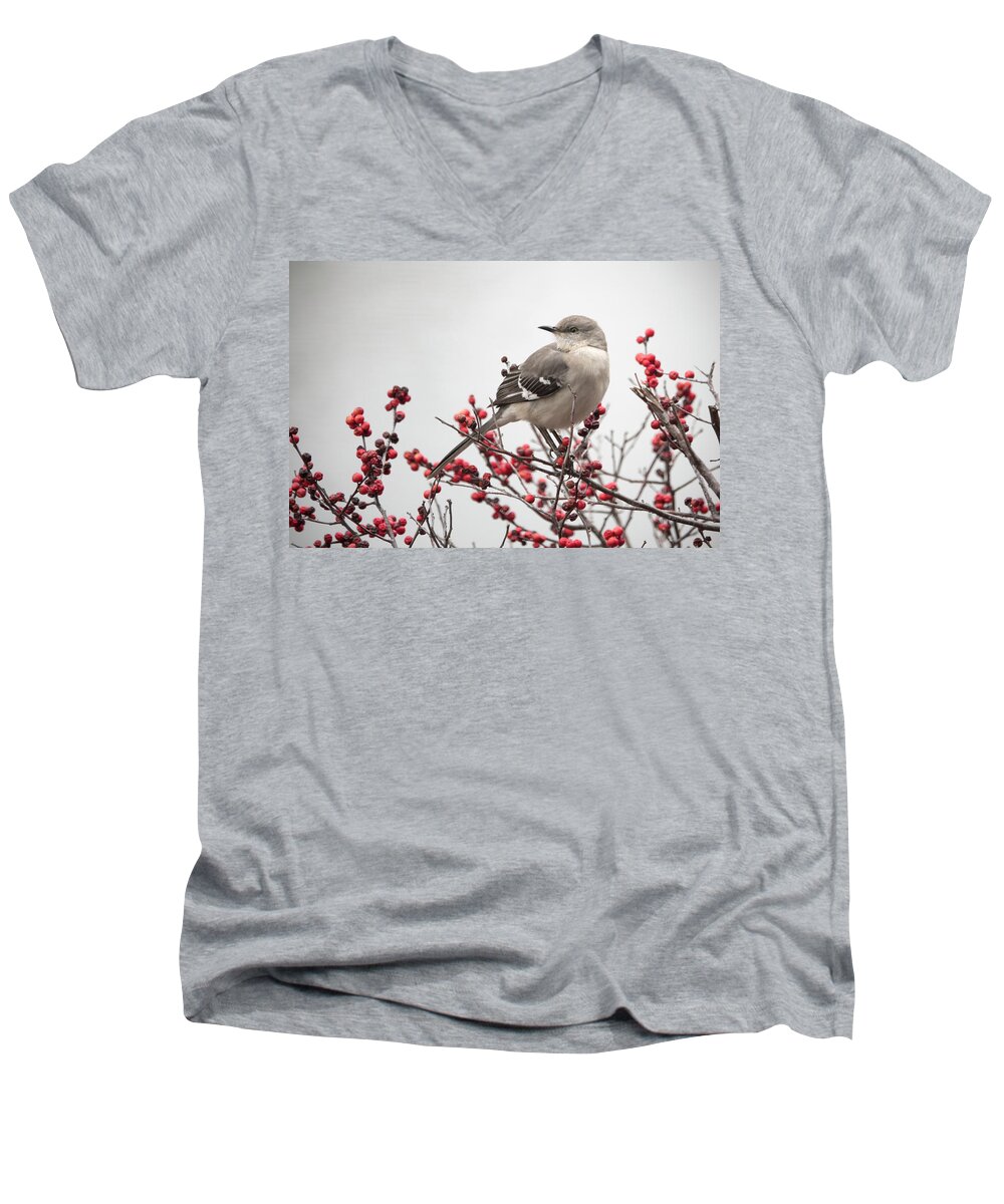 Winter Men's V-Neck T-Shirt featuring the photograph Mockingbird and Berries by Jack Nevitt