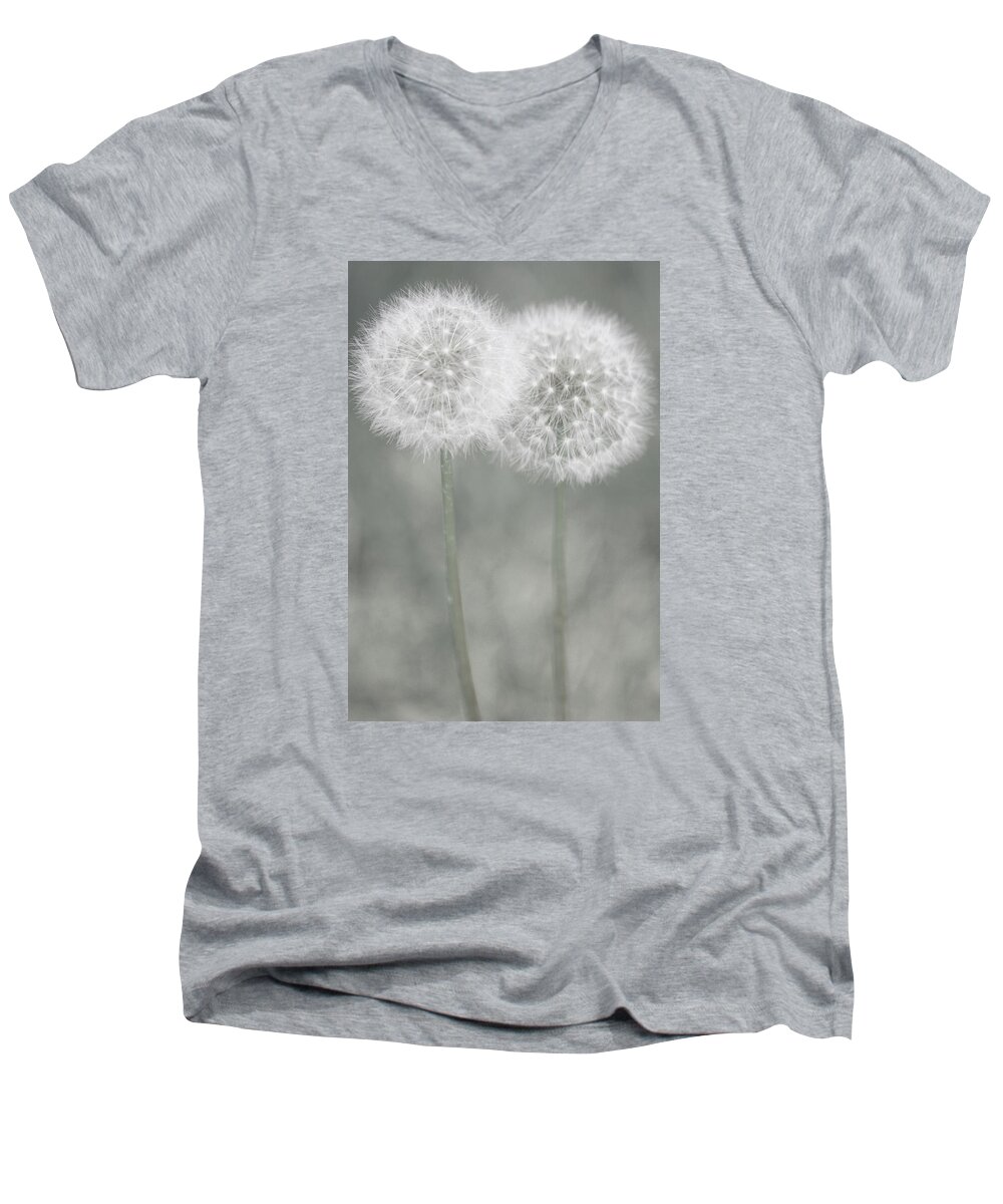 Dandelions Men's V-Neck T-Shirt featuring the photograph Moment of Tenderness by The Art Of Marilyn Ridoutt-Greene