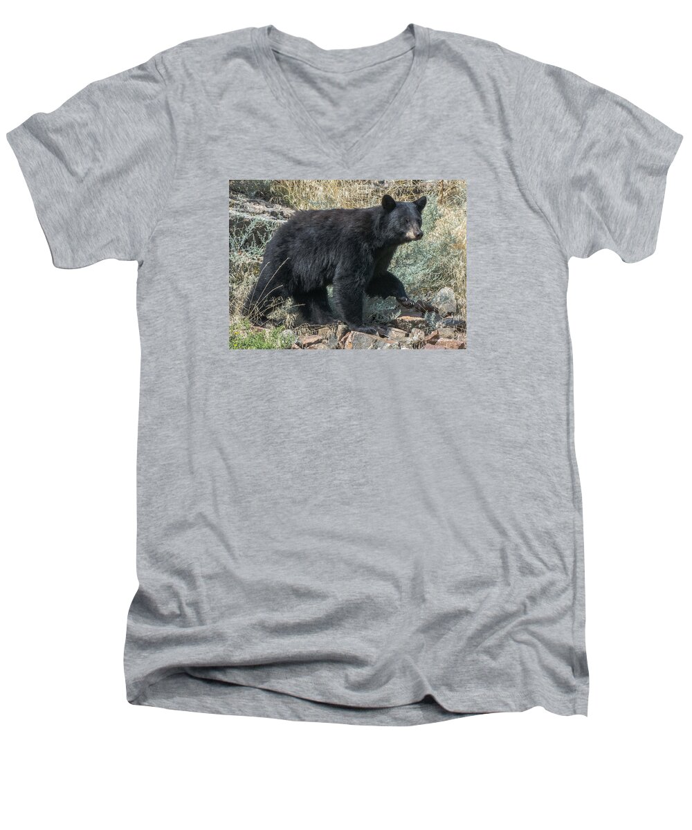 Black Bear Men's V-Neck T-Shirt featuring the photograph Momma Bear Walking by Stephen Johnson