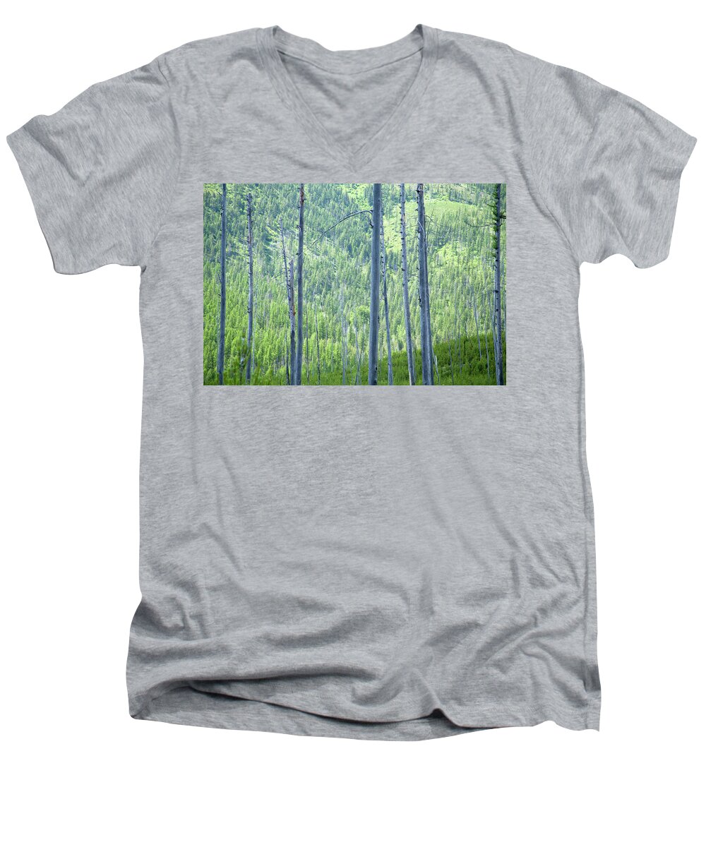 Trees Men's V-Neck T-Shirt featuring the photograph Montana Trees by David Chasey