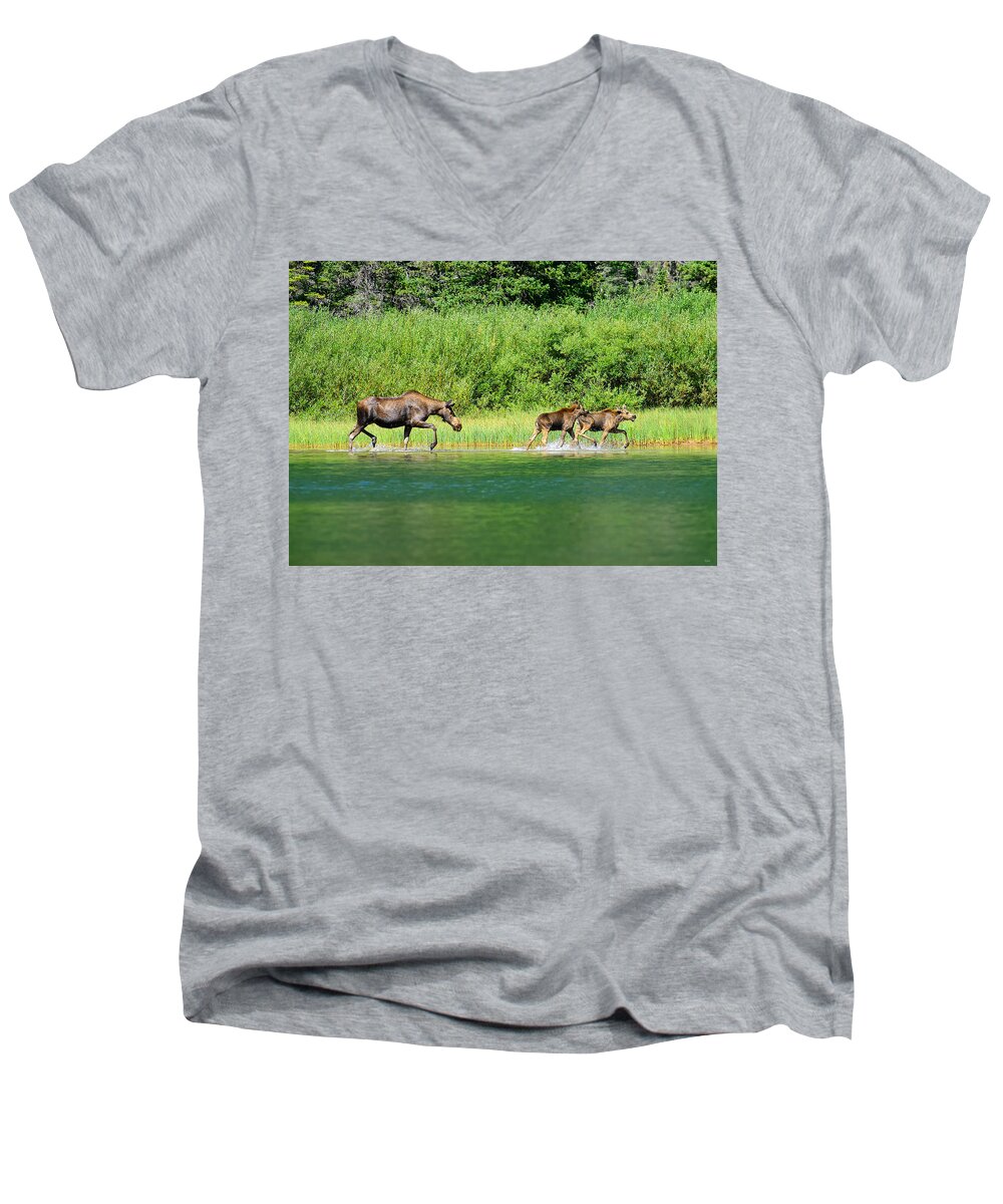 Moose Men's V-Neck T-Shirt featuring the photograph Moose Play by Greg Norrell