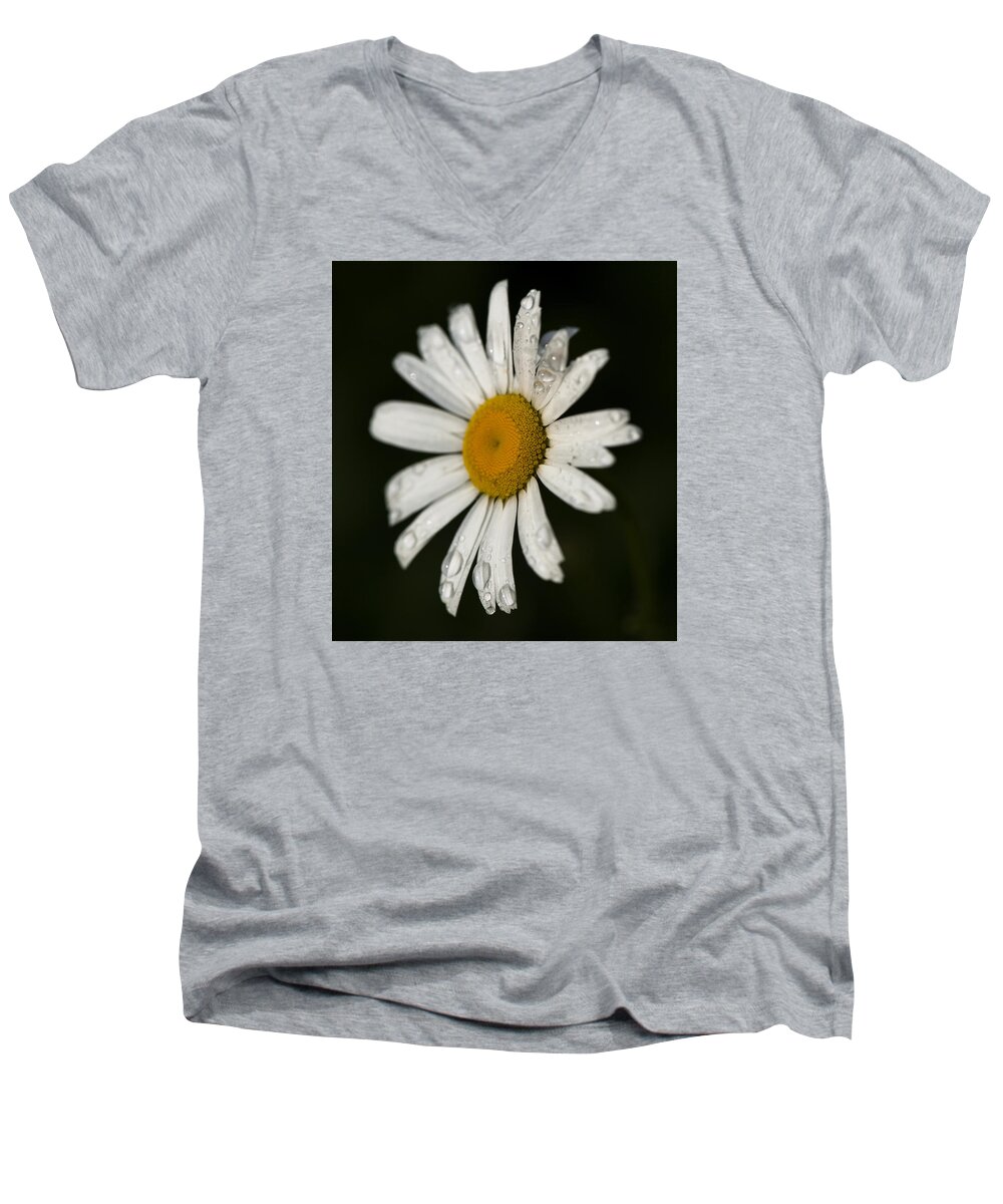  Men's V-Neck T-Shirt featuring the photograph Morning Daisy by Dan Hefle