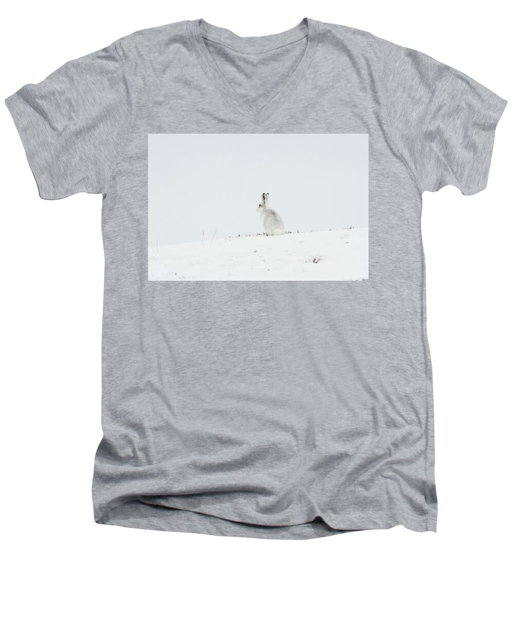 Mountain Men's V-Neck T-Shirt featuring the photograph Mountain Hare Sat In Snow by Pete Walkden