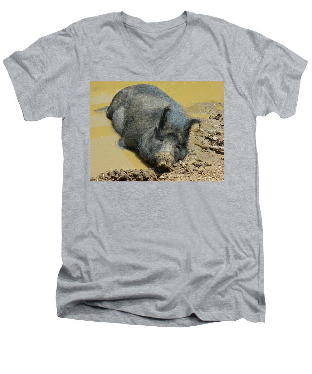 Hog Men's V-Neck T-Shirt featuring the photograph Mud Spa by Emmy Marie Vickers