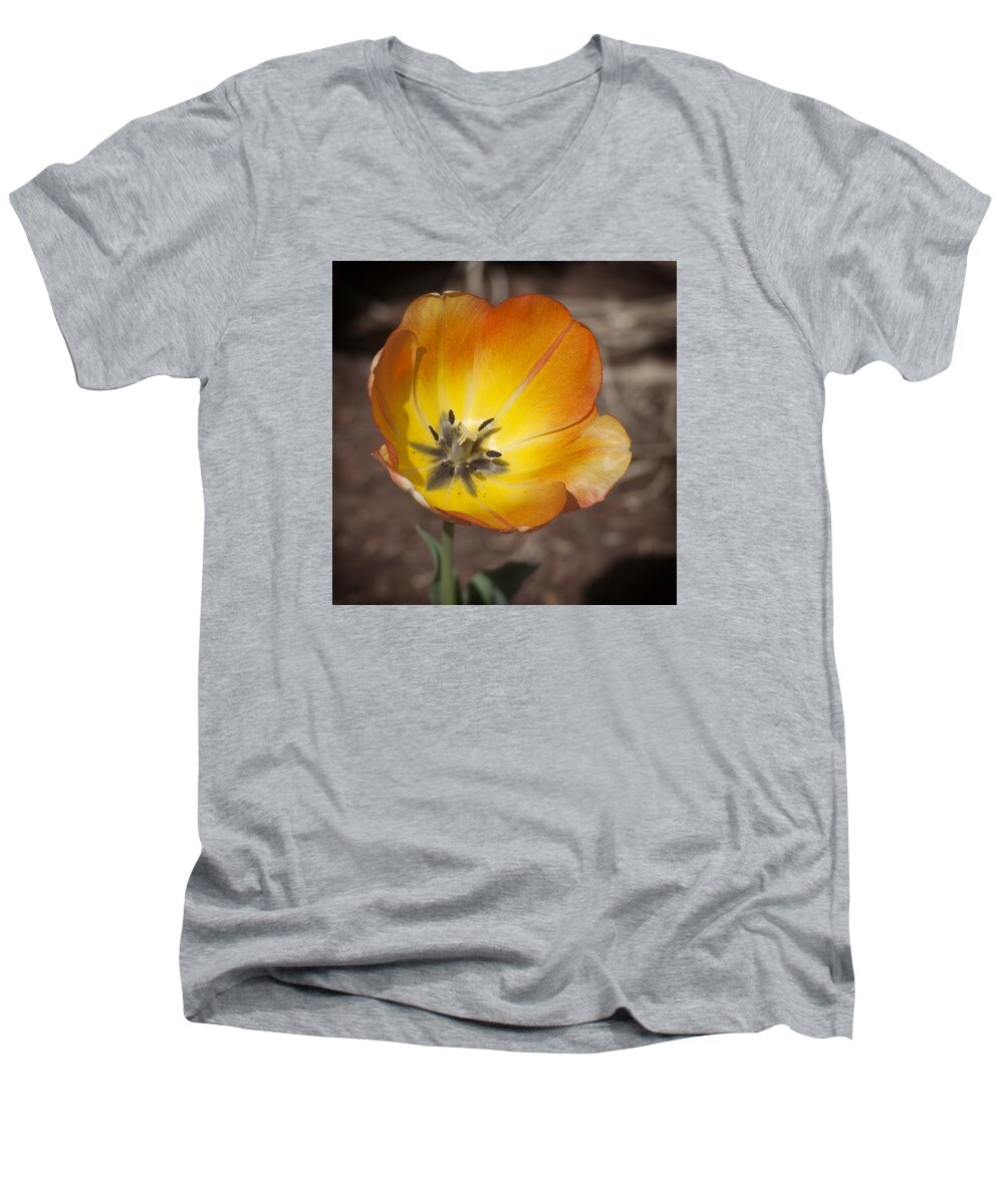 Tulip Men's V-Neck T-Shirt featuring the photograph Multihued by Morris McClung