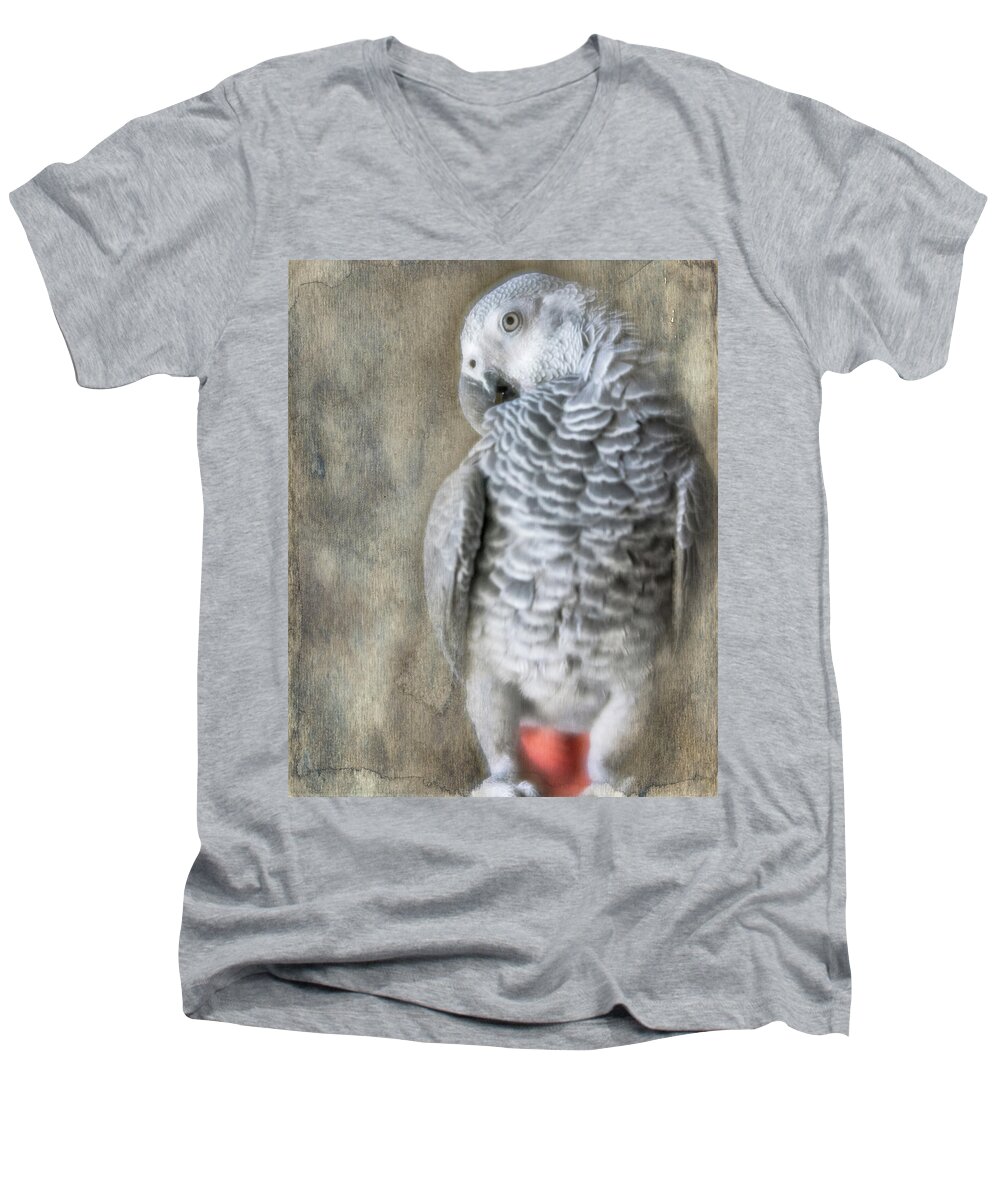 African Grey Men's V-Neck T-Shirt featuring the photograph Mysterious Parrot by Jennifer Grossnickle