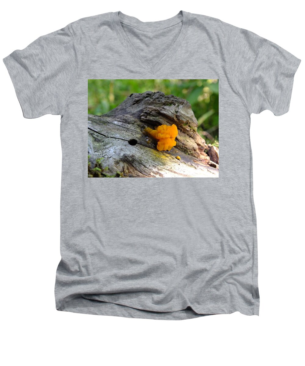 Nature Men's V-Neck T-Shirt featuring the photograph Nature's Art by Peggy King