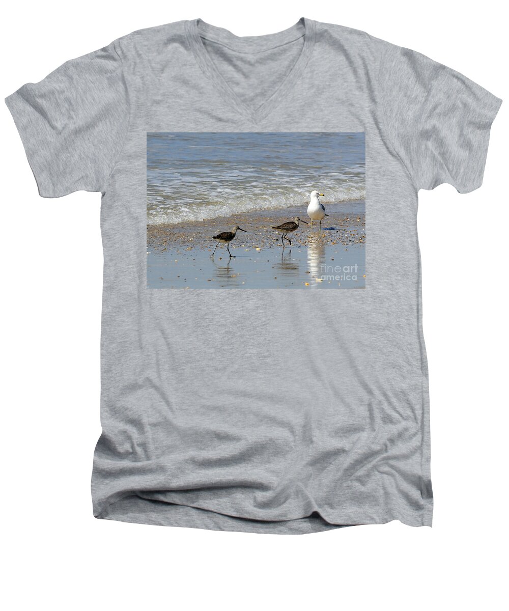 Birds Men's V-Neck T-Shirt featuring the photograph Outer Banks OBX #11 by Buddy Morrison