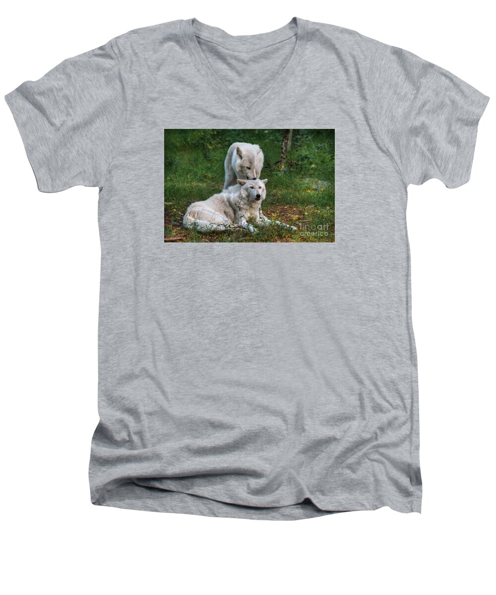 Nibble And Groom Men's V-Neck T-Shirt featuring the digital art Nibble and Groom by William Fields