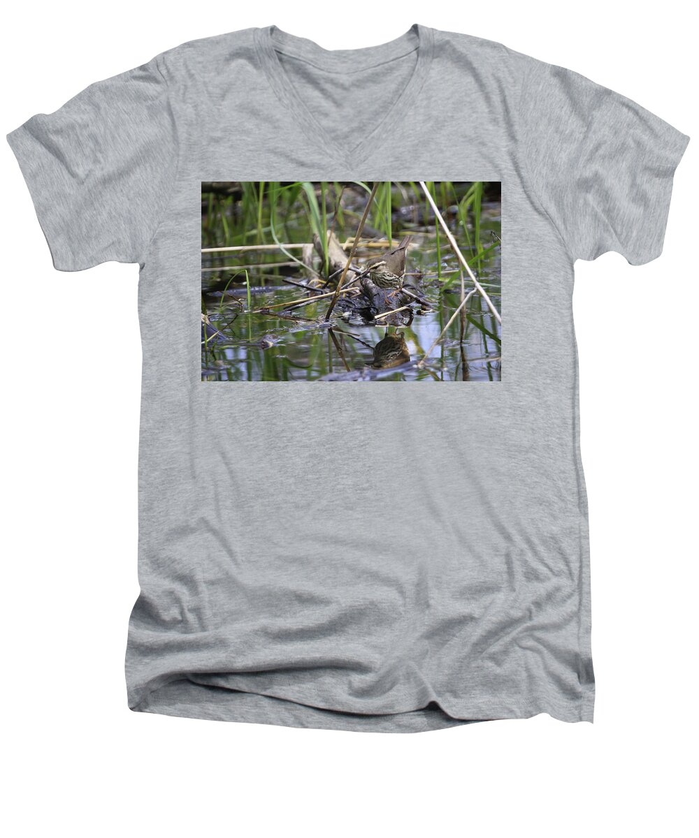  Gary Hall Men's V-Neck T-Shirt featuring the photograph Northern Waterthrush by Gary Hall