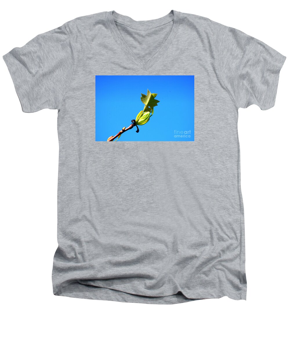 Norway Maple Men's V-Neck T-Shirt featuring the photograph Norway Maple Leaf 20120402_171a by Tina Hopkins